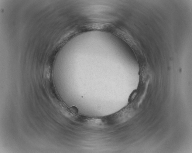 X0000081280374200701251634