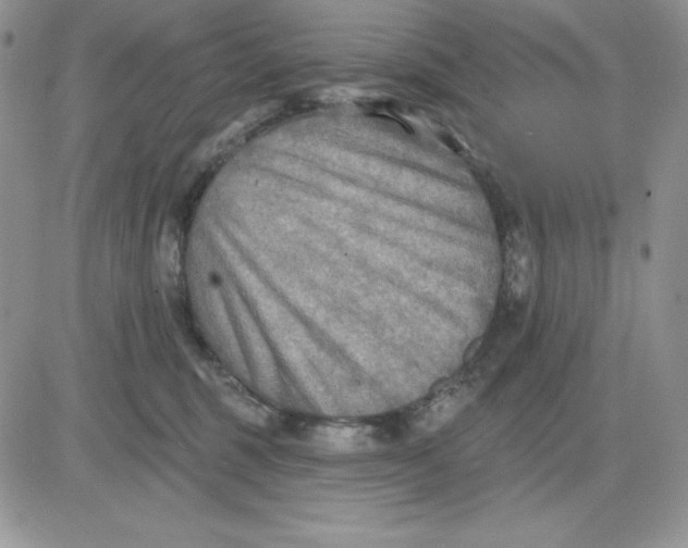 X0000081280375200701251634