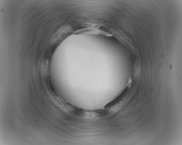 X0000081280376200701251634