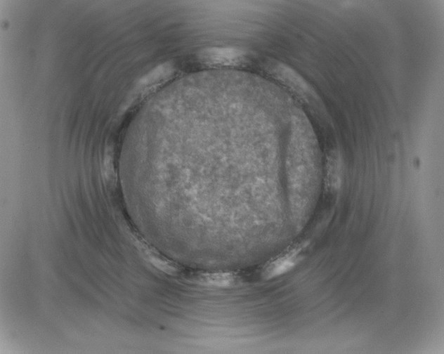 X0000081280377200701251634