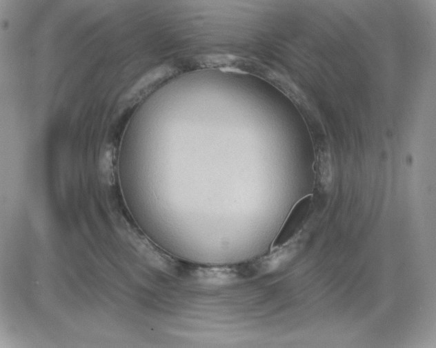 X0000081280378200701251634