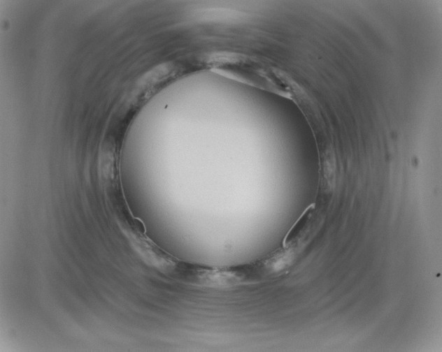 X0000081280379200701251634