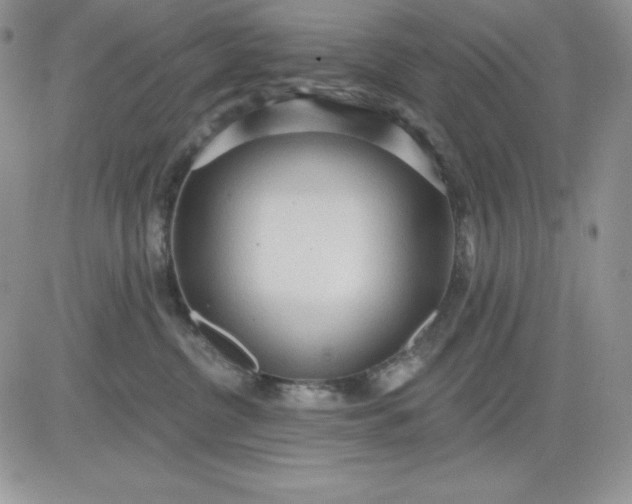 X0000081280380200701251634