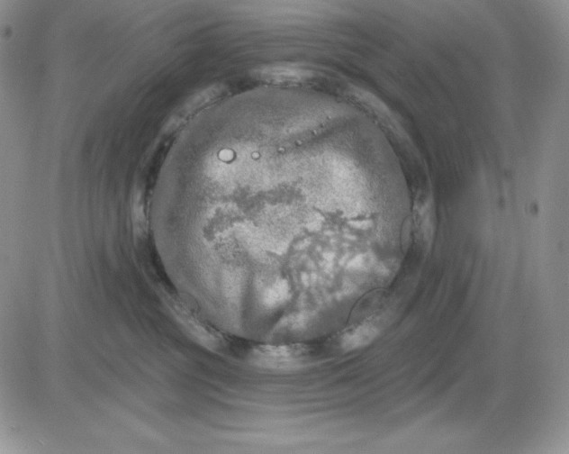 X0000081280381200701251634