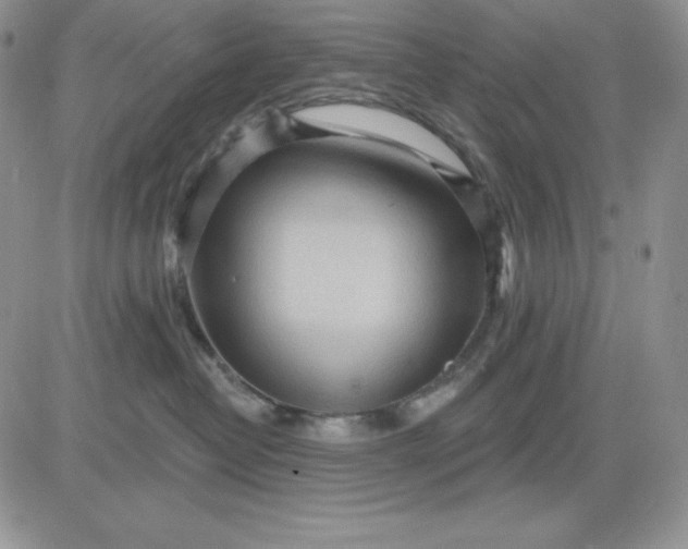 X0000081280382200701251634