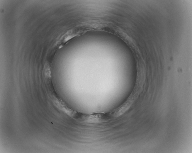 X0000081280384200701251634