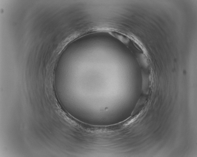 X0000081280385200701251633