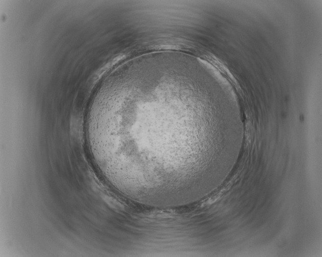 X0000081280386200701251633