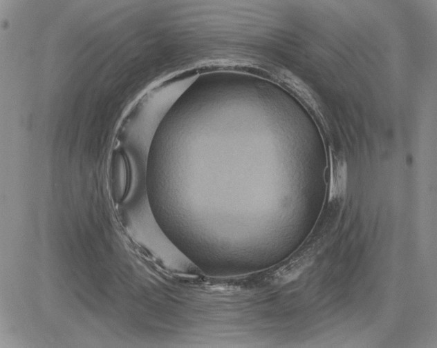 X0000081280387200701251633