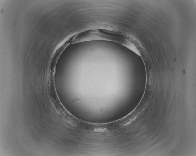 X0000081280388200701251633