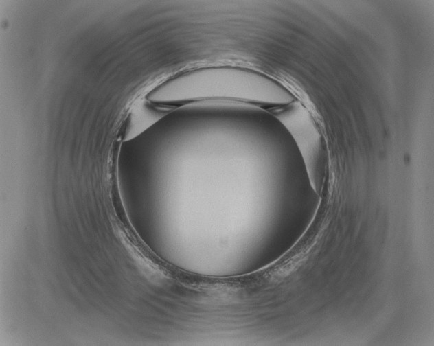 X0000081280389200701251633