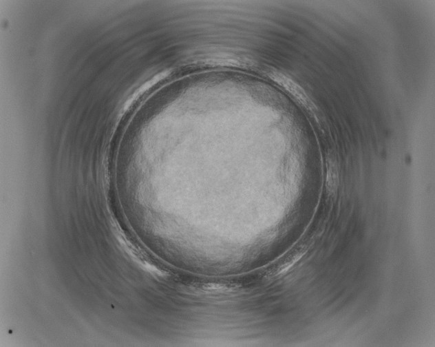 X0000081280390200701251633