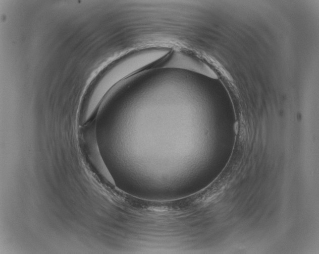 X0000081280391200701251633