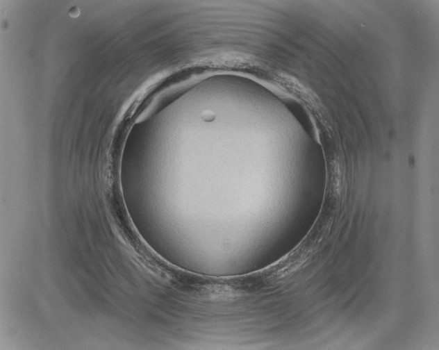 X0000081280392200701251633