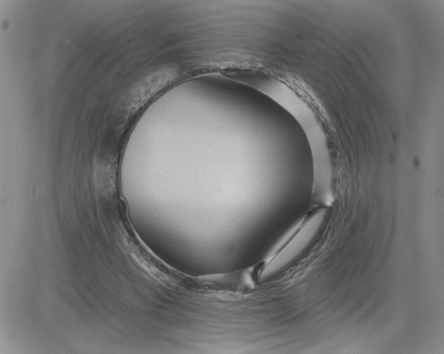 X0000081280393200701251633