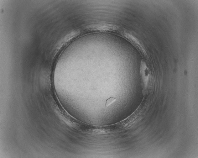 X0000081280394200701251633