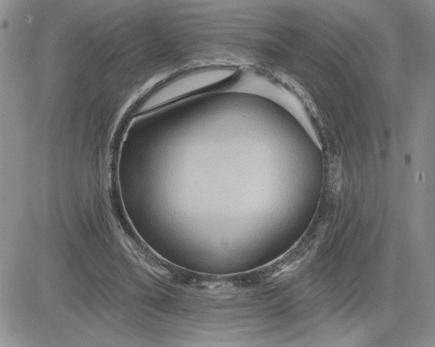 X0000081280395200701251633