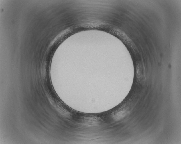 X0000081280396200701251633