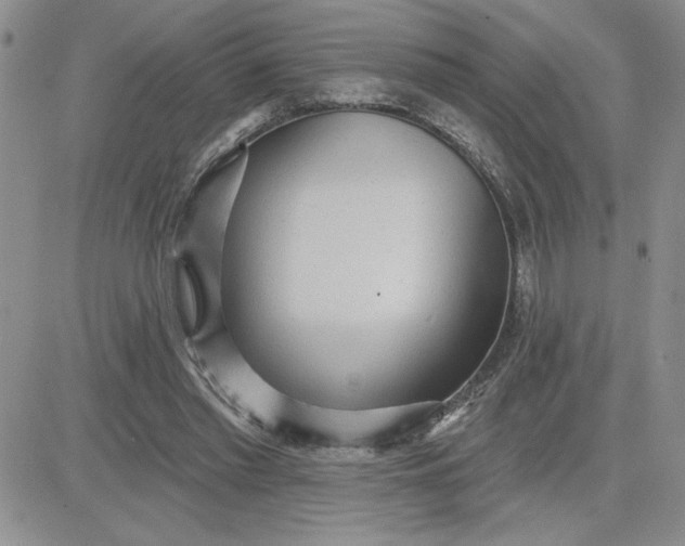 X0000081280397200701251633