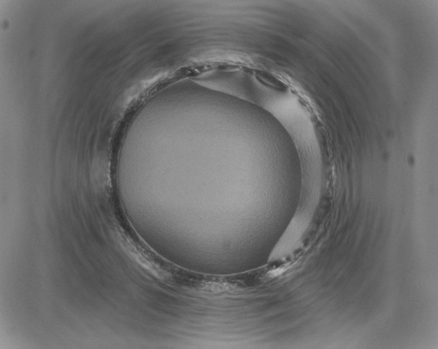 X0000081280399200701251633