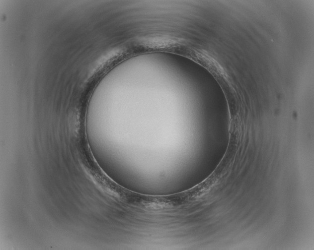 X0000081280400200701251633