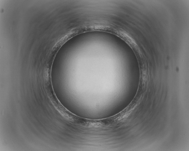 X0000081280401200701251633