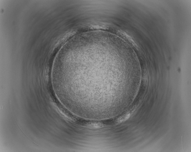 X0000081280402200701251633