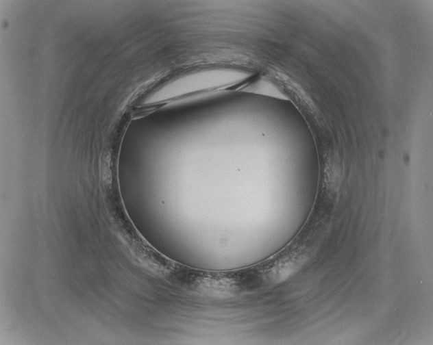 X0000081280403200701251633