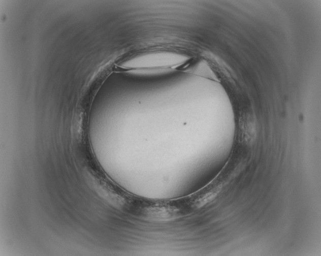 X0000081280404200701251633