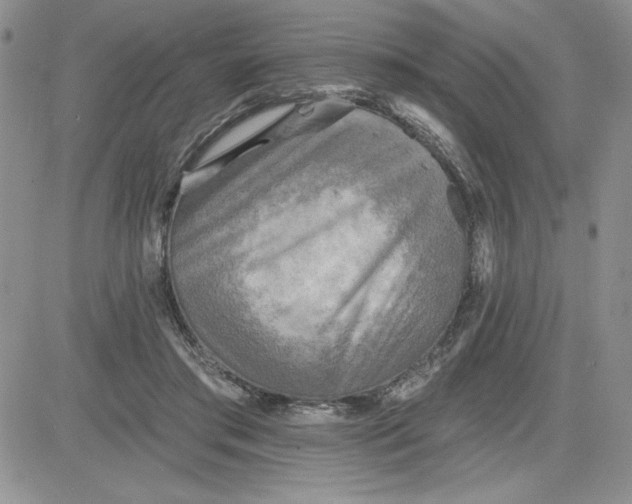 X0000081280405200701251633