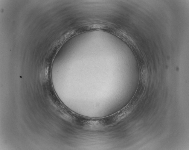 X0000081280406200701251633