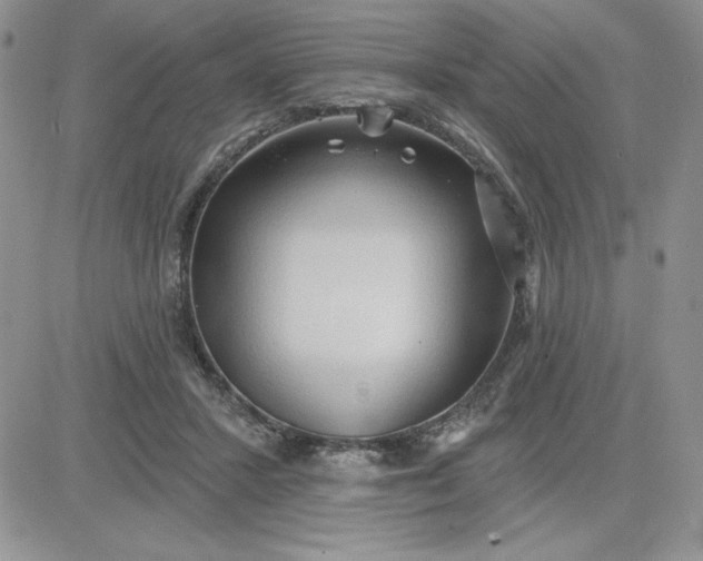 X0000081280407200701251633