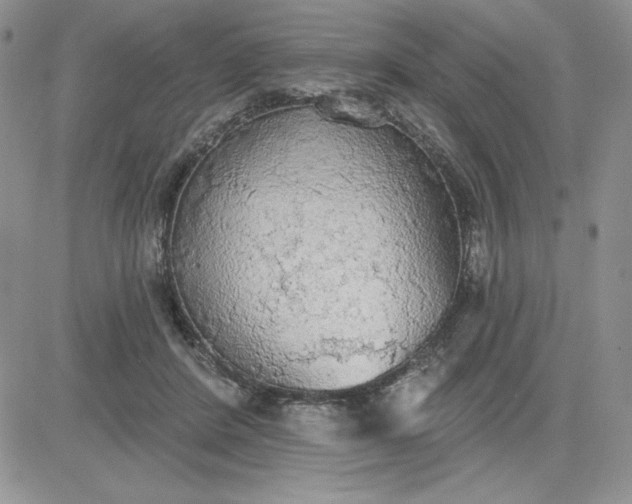 X0000081280408200701251633