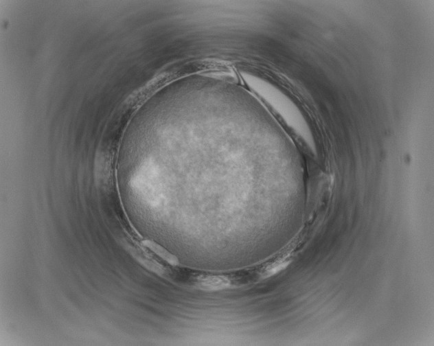 X0000081280409200701251633