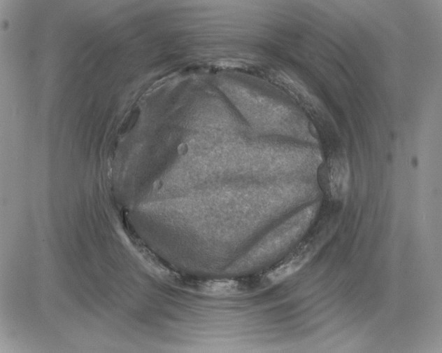 X0000081280410200701251633