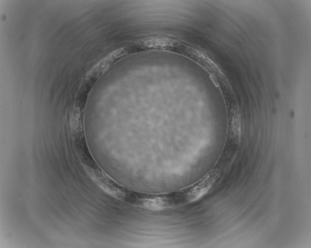 X0000081280411200701251633