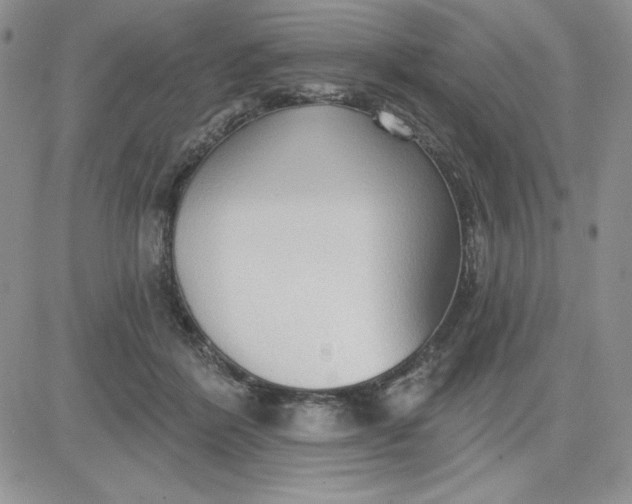 X0000081280412200701251633