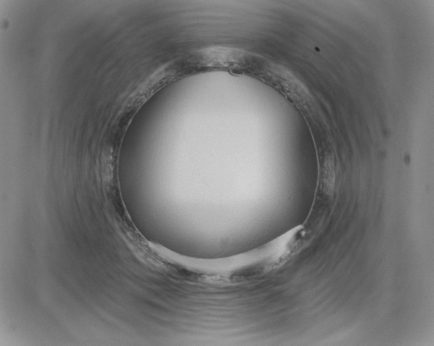 X0000081280413200701251633