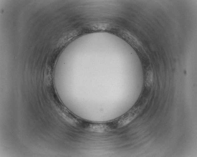 X0000081280414200701251633