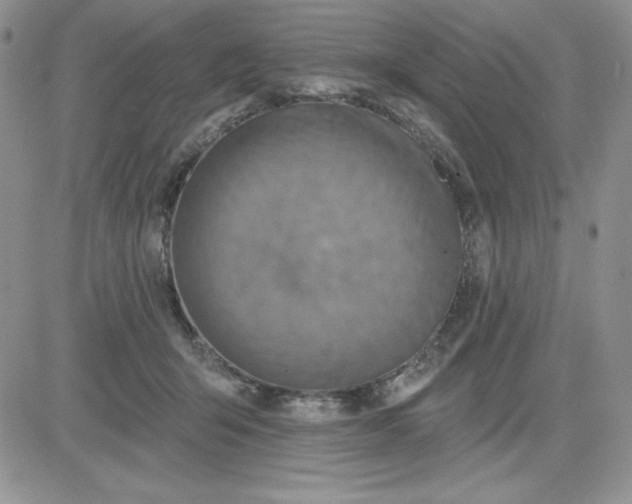 X0000081280415200701251633