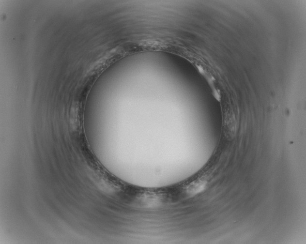 X0000081280416200701251633