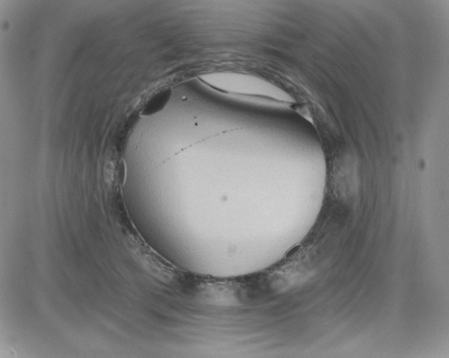 X0000081280417200701251633