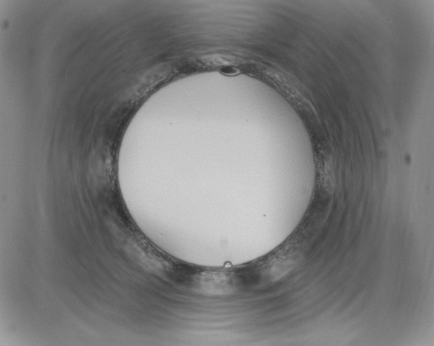 X0000081280418200701251633