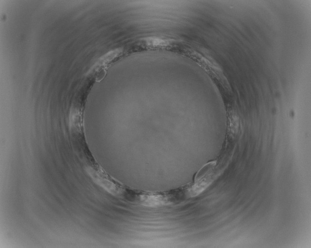 X0000081280419200701251633