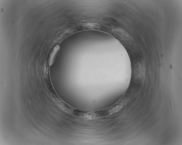 X0000081280420200701251633