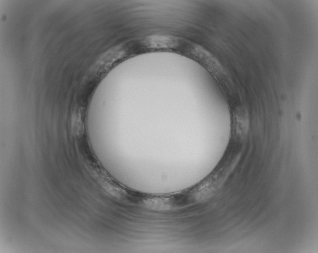 X0000081280422200701251633