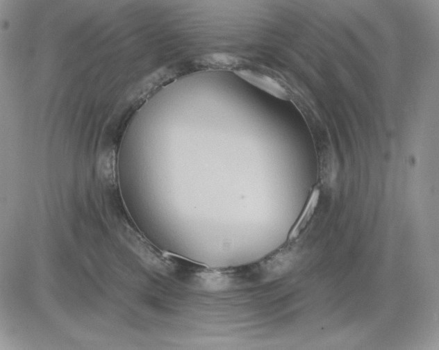 X0000081280425200701251632