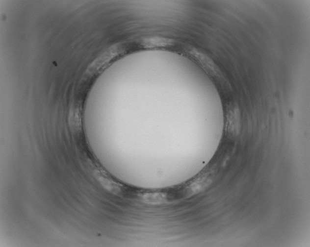 X0000081280426200701251632