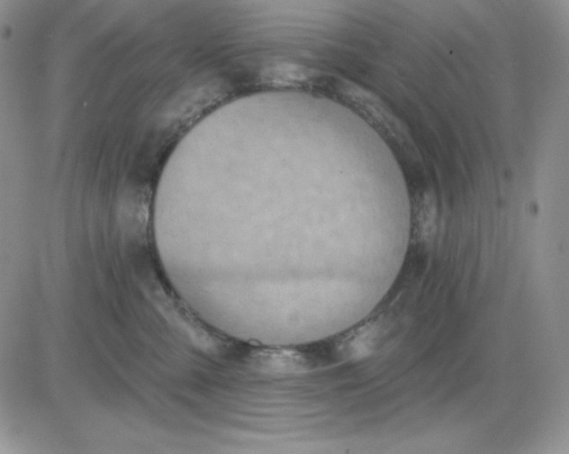 X0000081280427200701251632