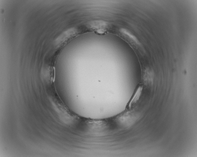 X0000081280428200701251632